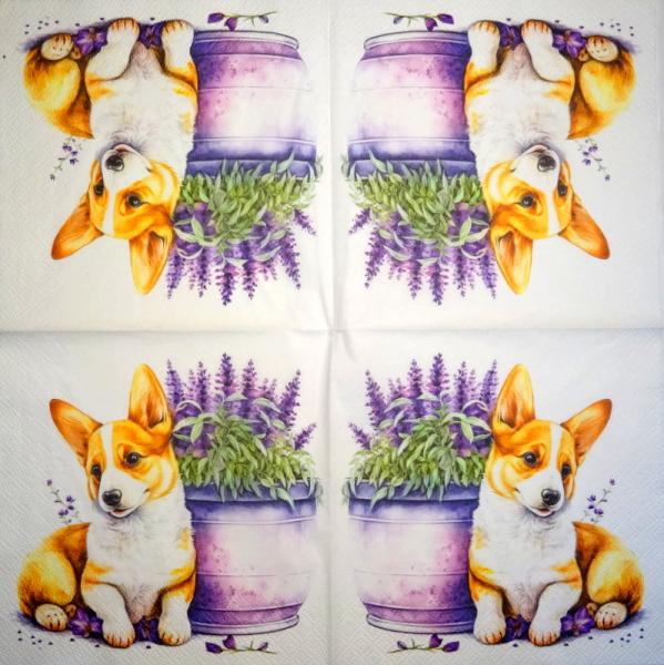 920 Dogs - 3-ply - Specials